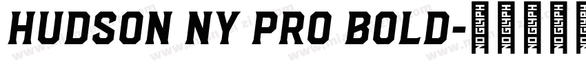 Hudson NY Pro Bold字体转换